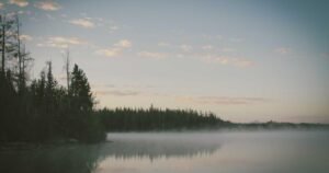 n8n Automation for UAE Businesses: Build Your First Workflow